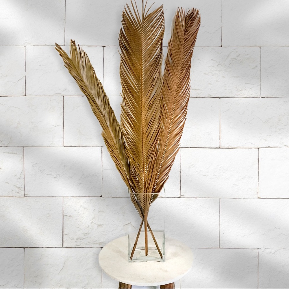 Bundle of 3 Natural Sago Dried Palm Leaves